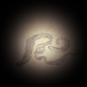 �C���X�g